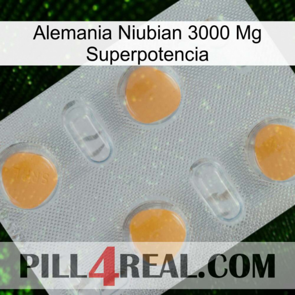 Germany Niubian 3000 Mg Superpower 24.jpg